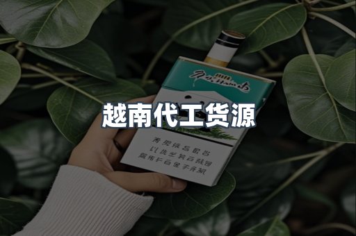 越南代工货源